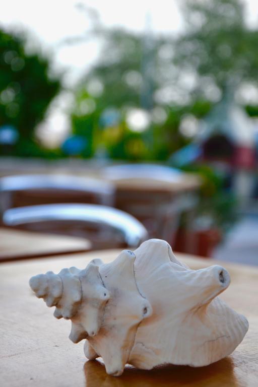 B&B Il Giardino Stellato เวียสเต ภายนอก รูปภาพ
