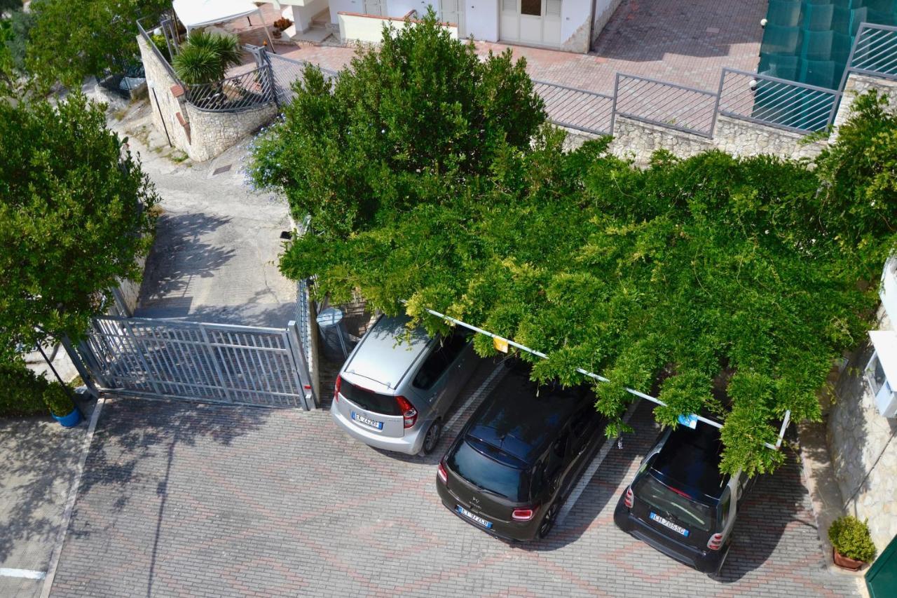 B&B Il Giardino Stellato เวียสเต ภายนอก รูปภาพ